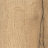 Robuust eiken