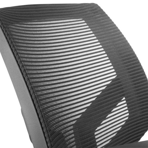 Ergonomische bureaustoel Maxwell Mesh