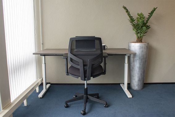 Ergonomische bureaustoel Maxwell Mesh