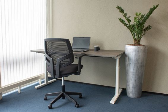 Ergonomische bureaustoel Maxwell Mesh