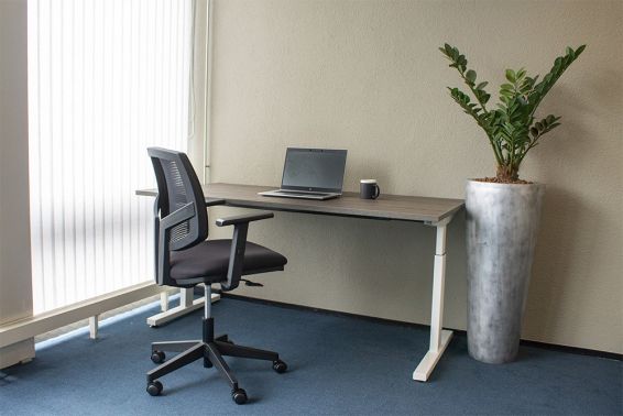 Ergonomische bureaustoel Maxwell Mesh