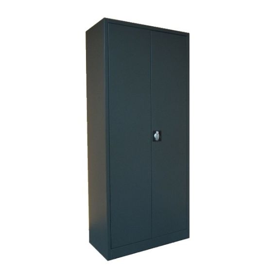 Draaideurkast 50 cm diep - antraciet