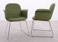 DeBerenn Reptile Mini fauteuil