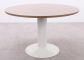 Ronde tafel MR