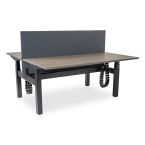 Zit sta bureau elektrisch Lineaflex MRC PRO Duo 160x80 cm