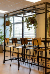 Bartafels