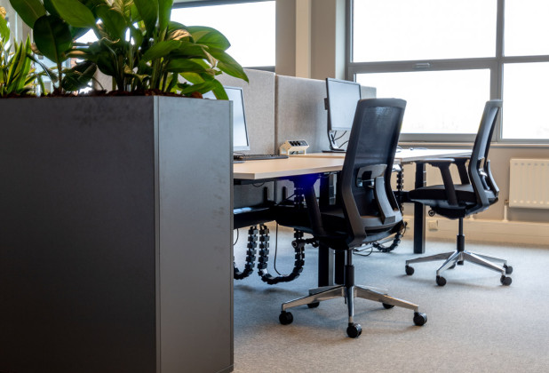 Moderne werkplekken met planten