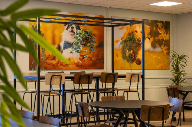 moderne kantine-inrichting met hoge bartafel, barkrukken en planten.